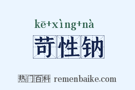 苛性钠是什么意思的图片